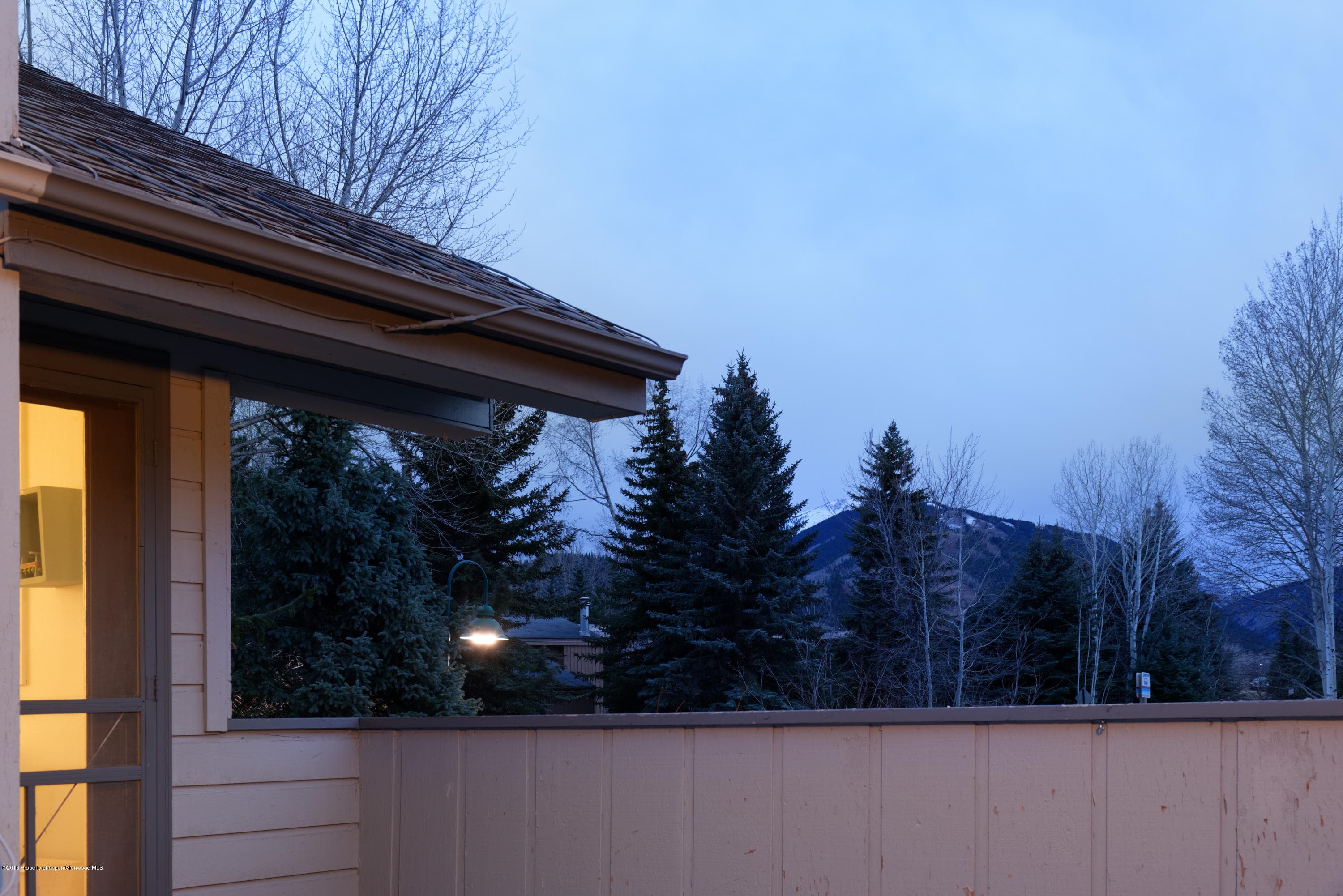 860 Cemetery Lane, Aspen, CO 81611 - Photo 19