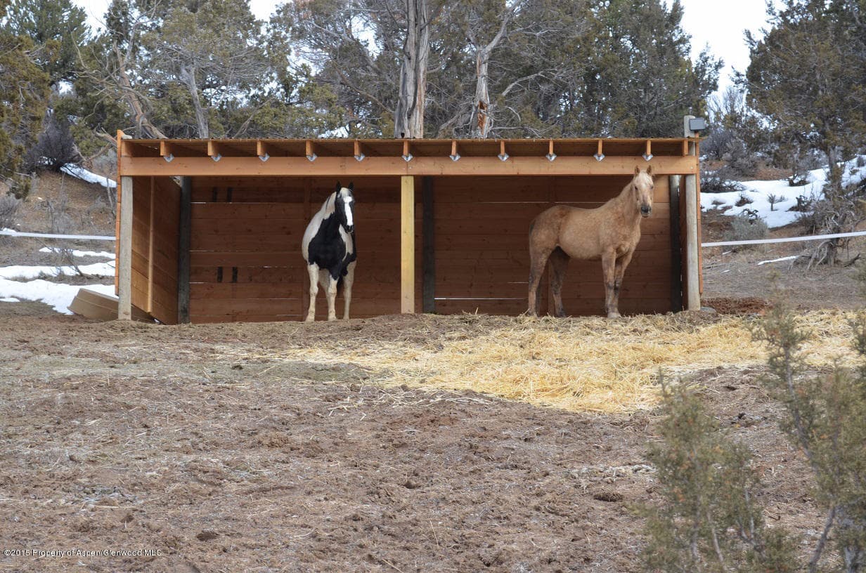 142 Happy Dog Trail, Rifle, CO 81650 - Photo 25
