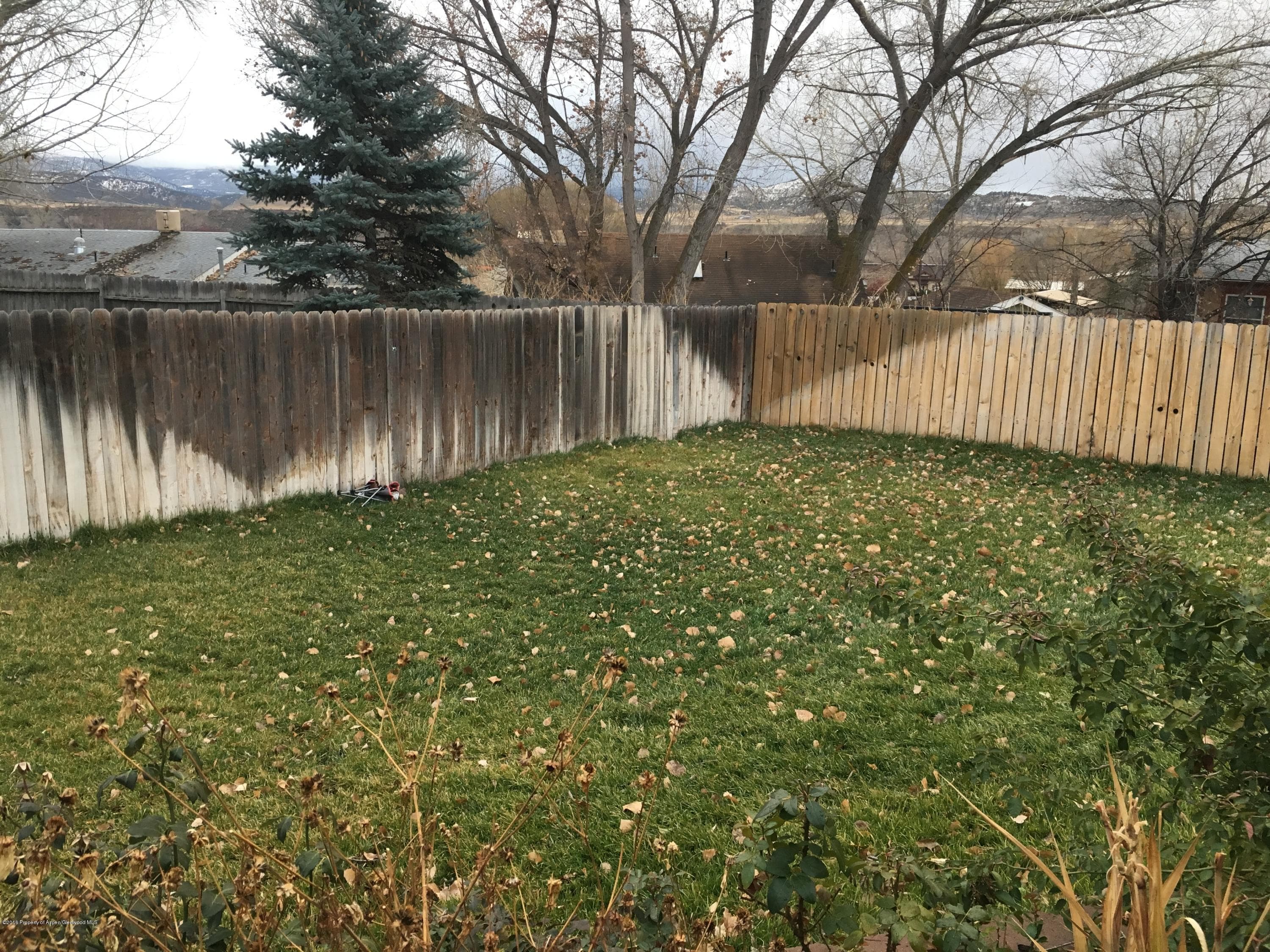 1809 Pheasant Cove, Silt, CO 81652 - Photo 12