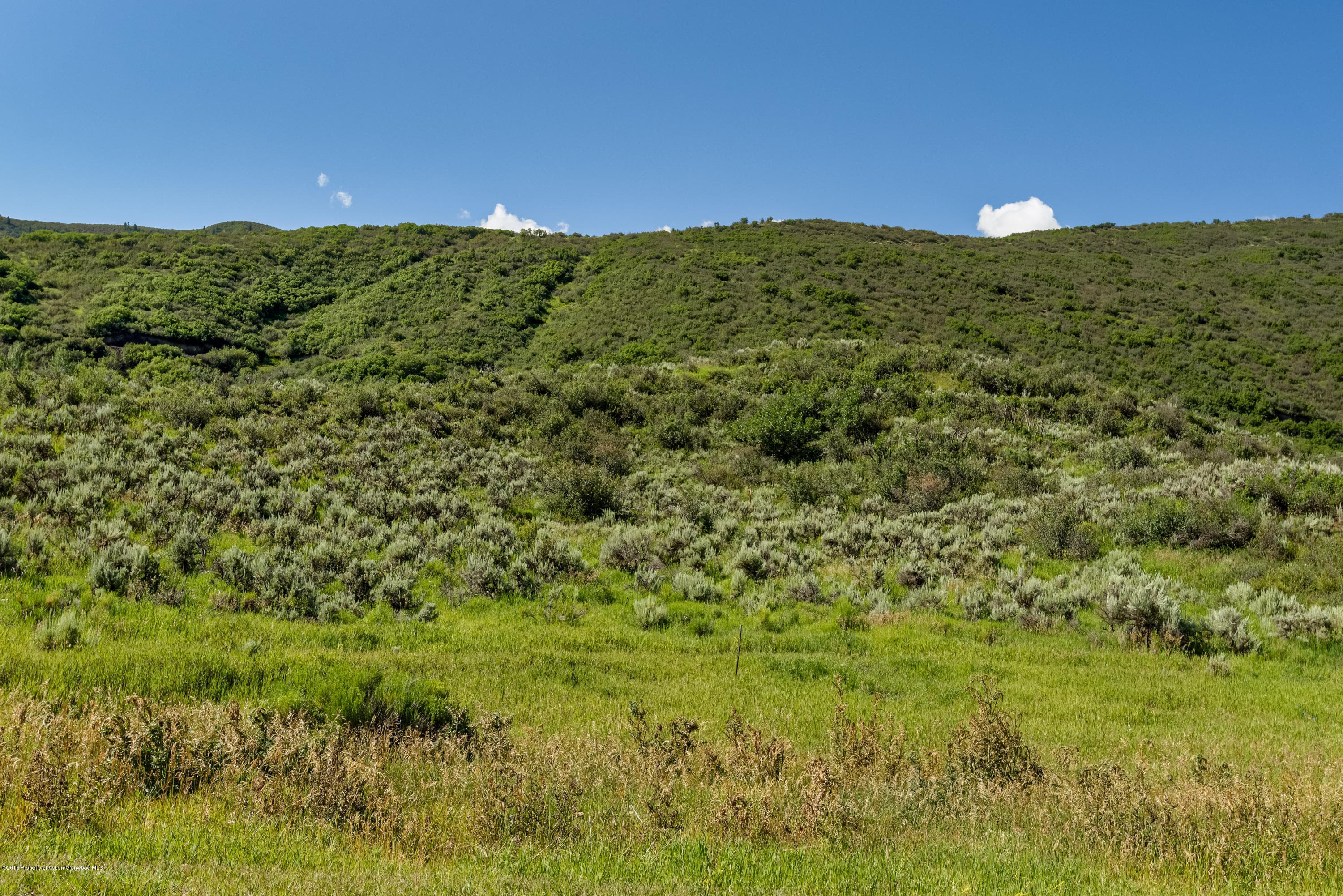 Tbd Lazy O Road - Photo 7