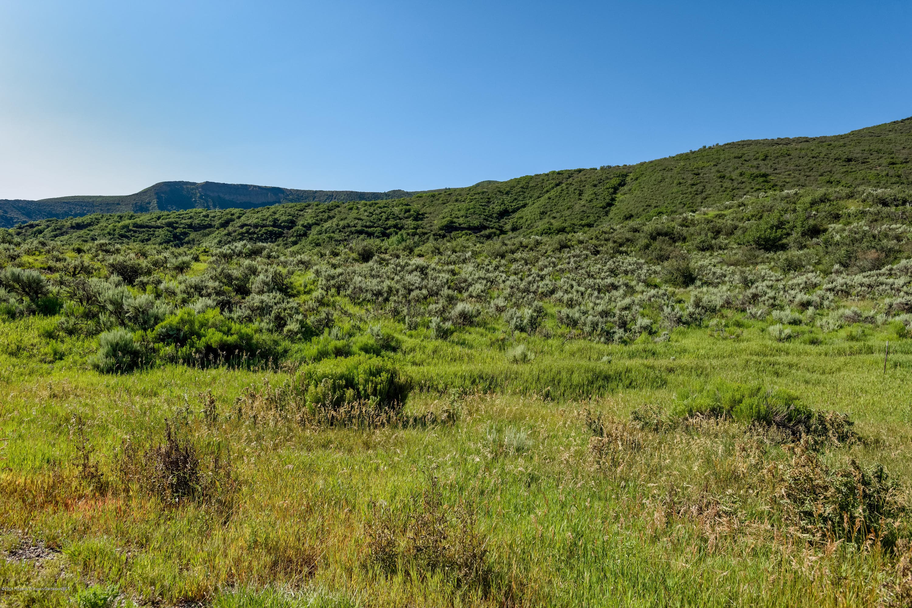 Tbd Lazy O Road - Photo 6