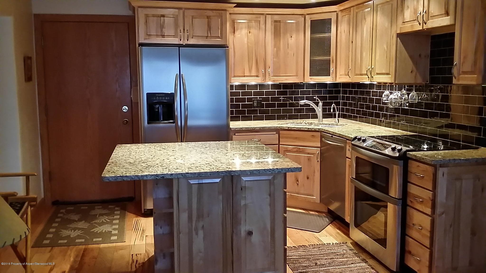 236 Vine Street, Aspen, CO 81611 - Photo 1