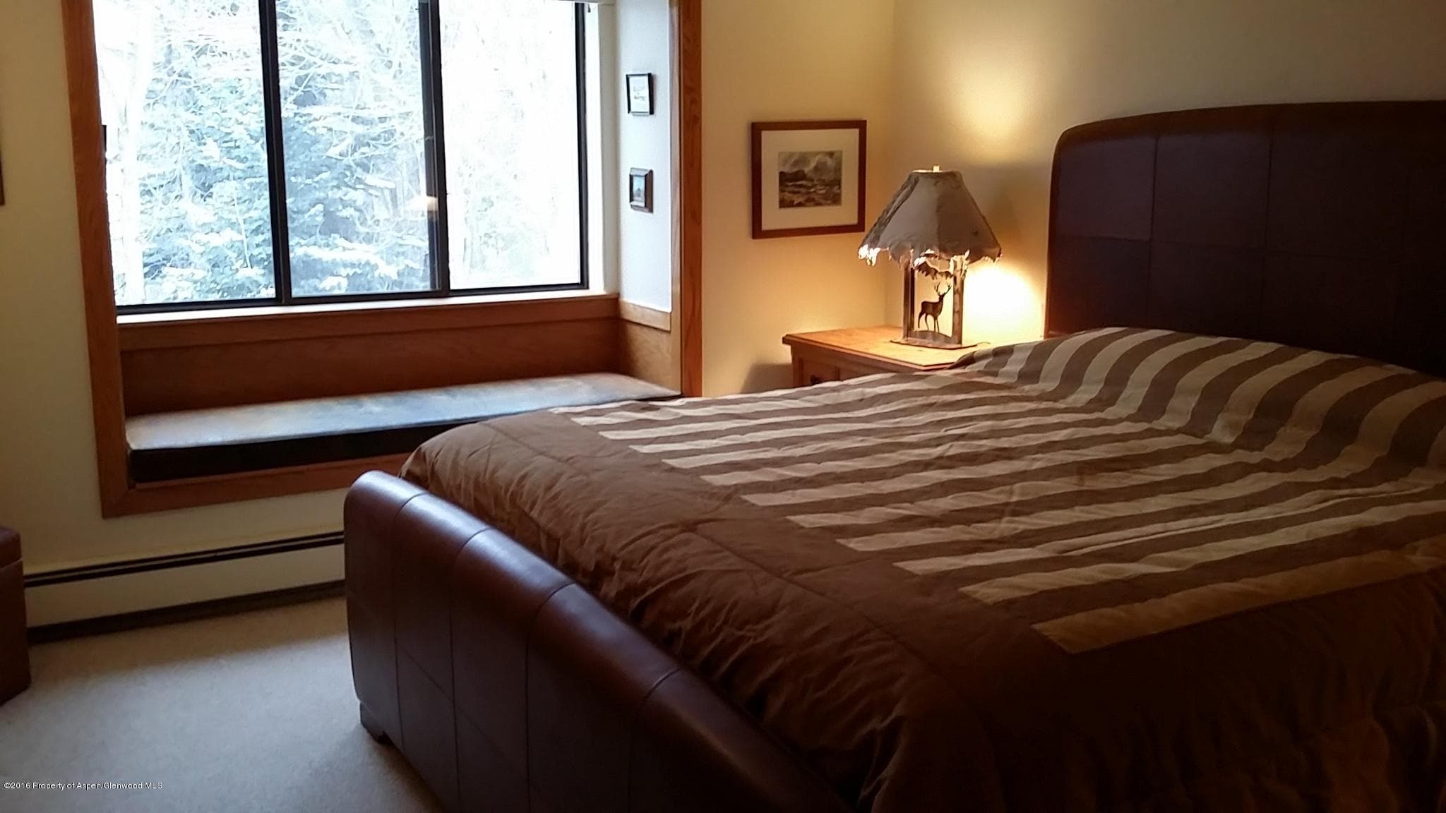 236 Vine Street, Aspen, CO 81611 - Photo 6