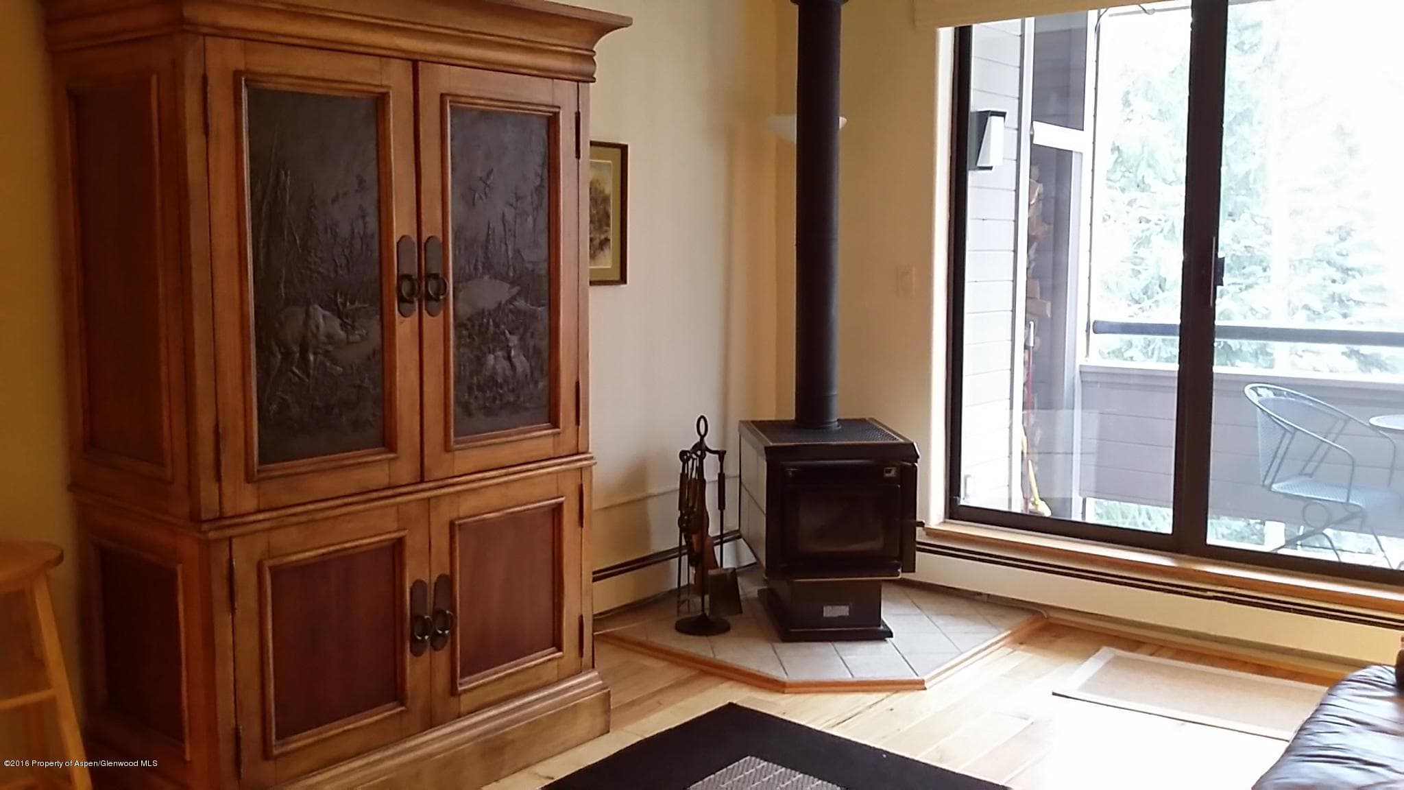 236 Vine Street, Aspen, CO 81611 - Photo 5