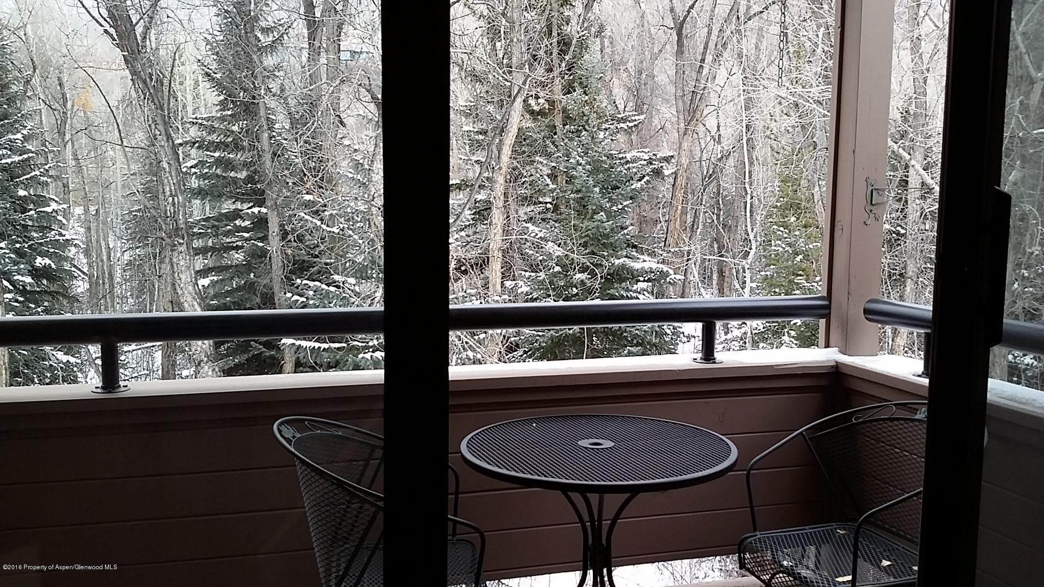 236 Vine Street, Aspen, CO 81611 - Photo 10
