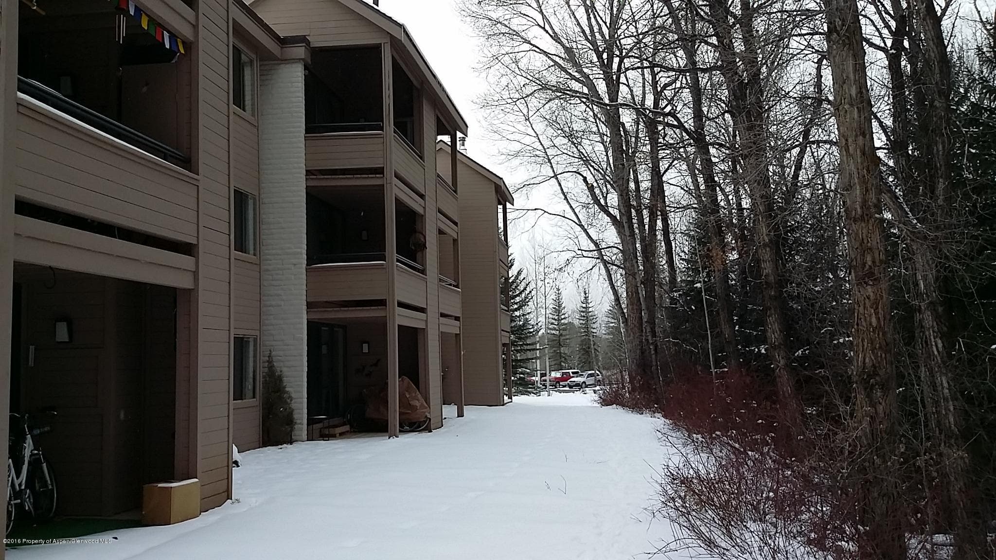 236 Vine Street, Aspen, CO 81611 - Photo 11