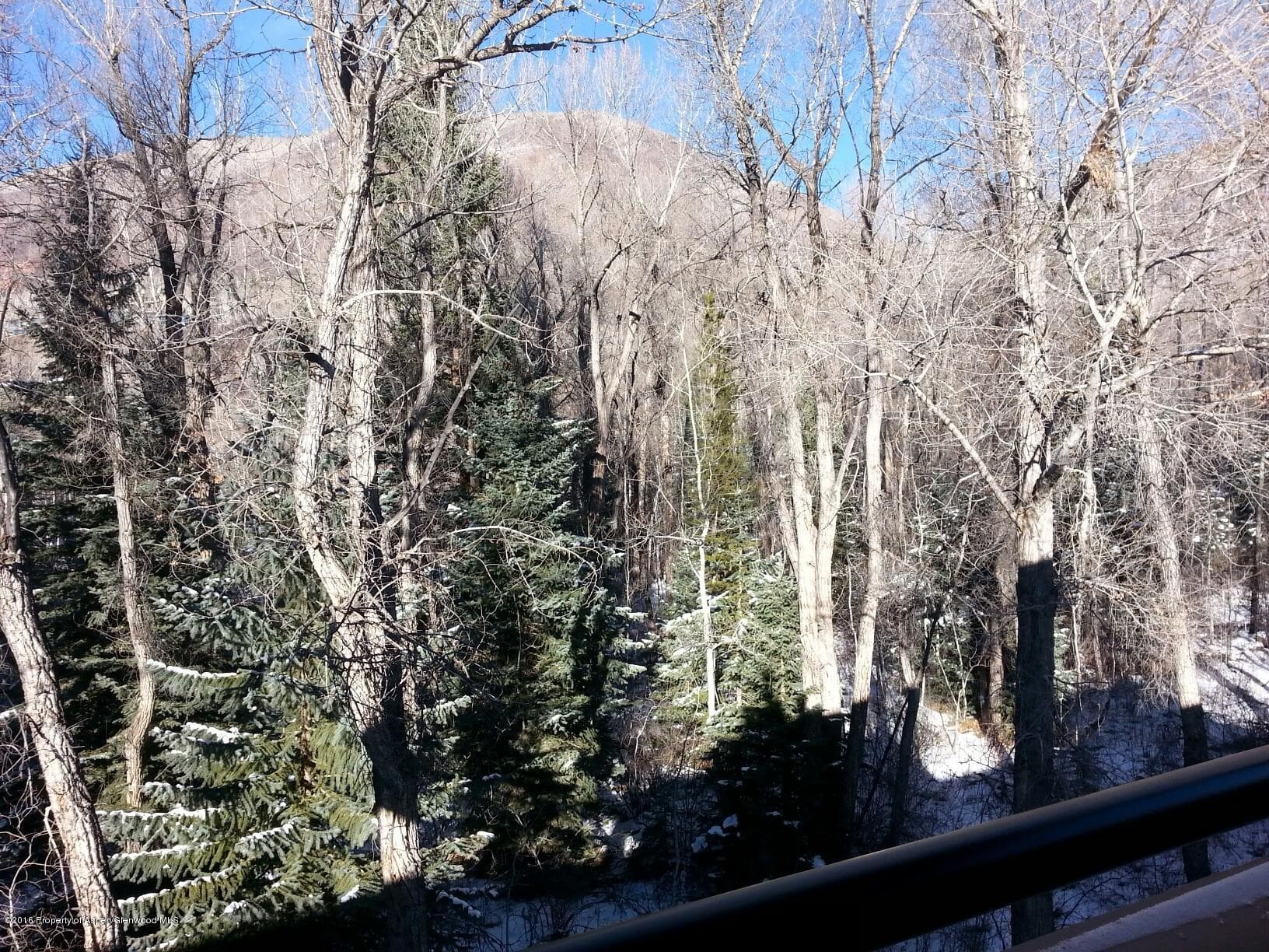 236 Vine Street, Aspen, CO 81611 - Photo 9