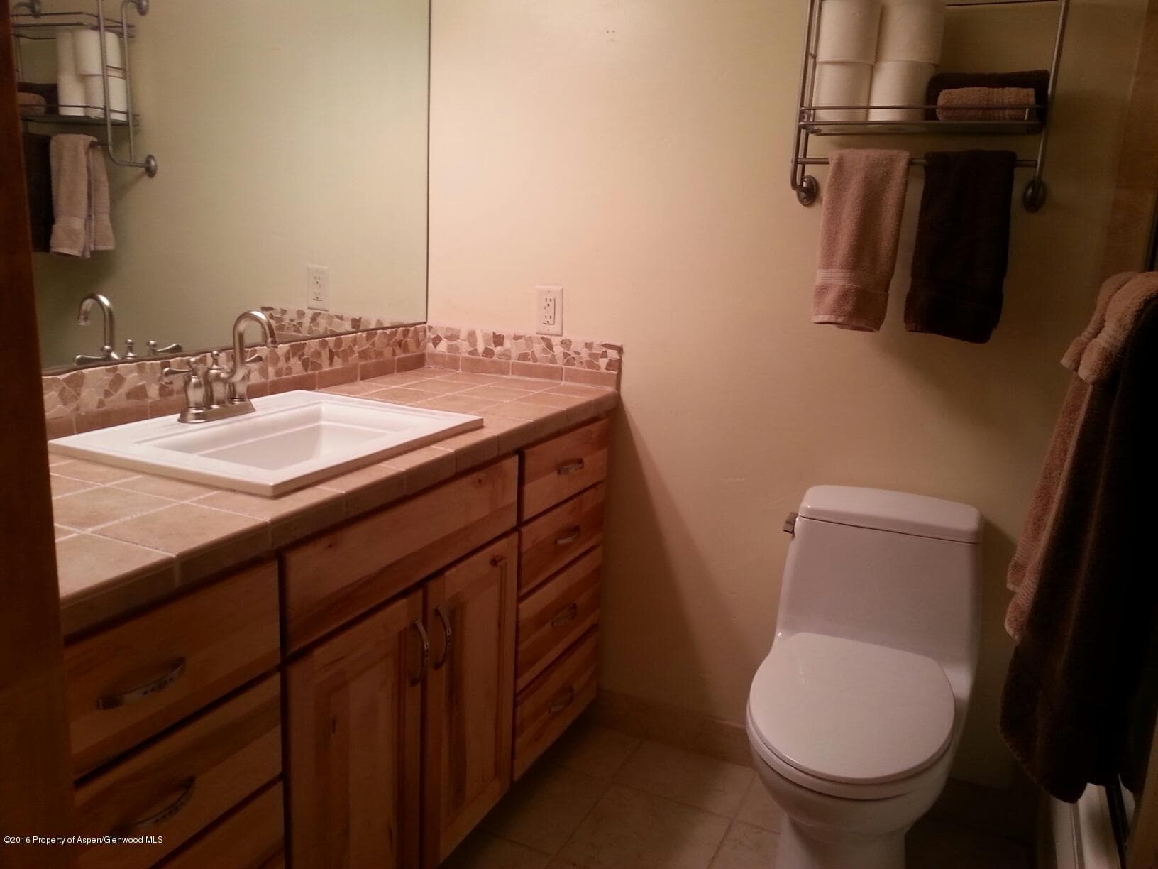 236 Vine Street, Aspen, CO 81611 - Photo 7
