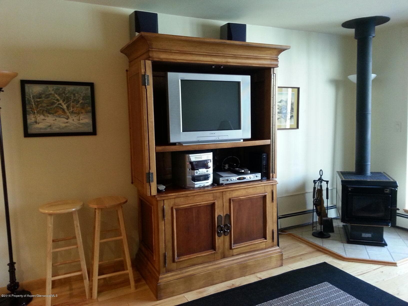 236 Vine Street, Aspen, CO 81611 - Photo 4