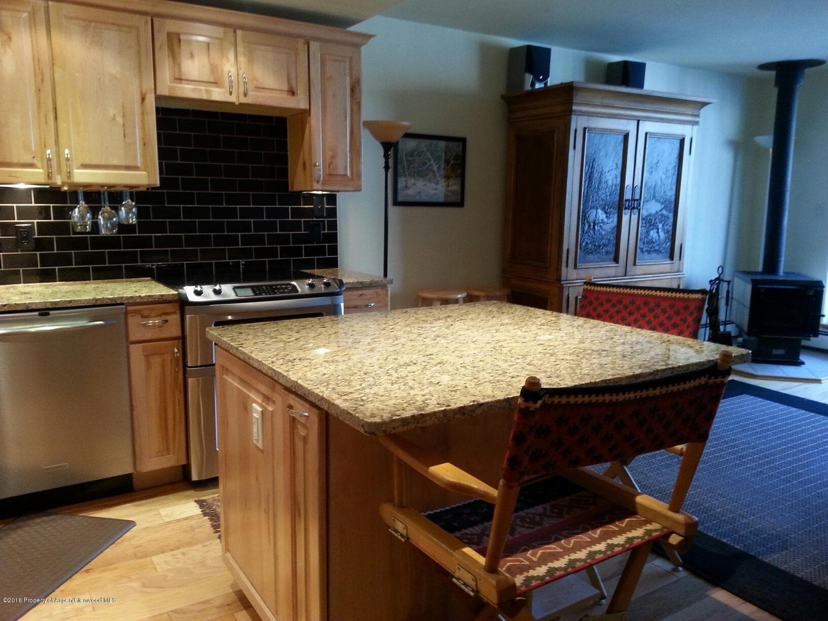 236 Vine Street, Aspen, CO 81611 - Photo 3