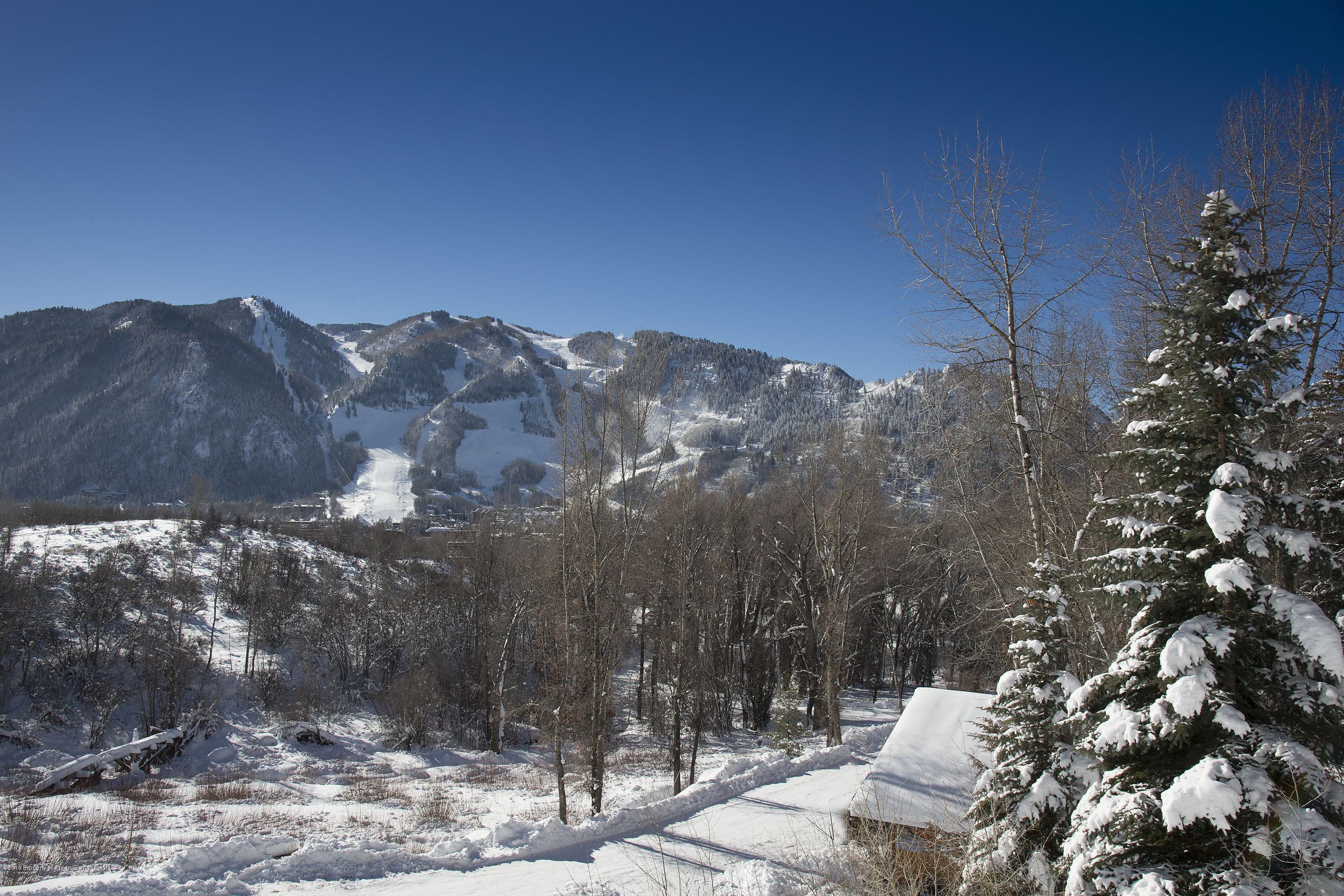 300 Red Mountain Road, Aspen, CO 81611 - Photo 7