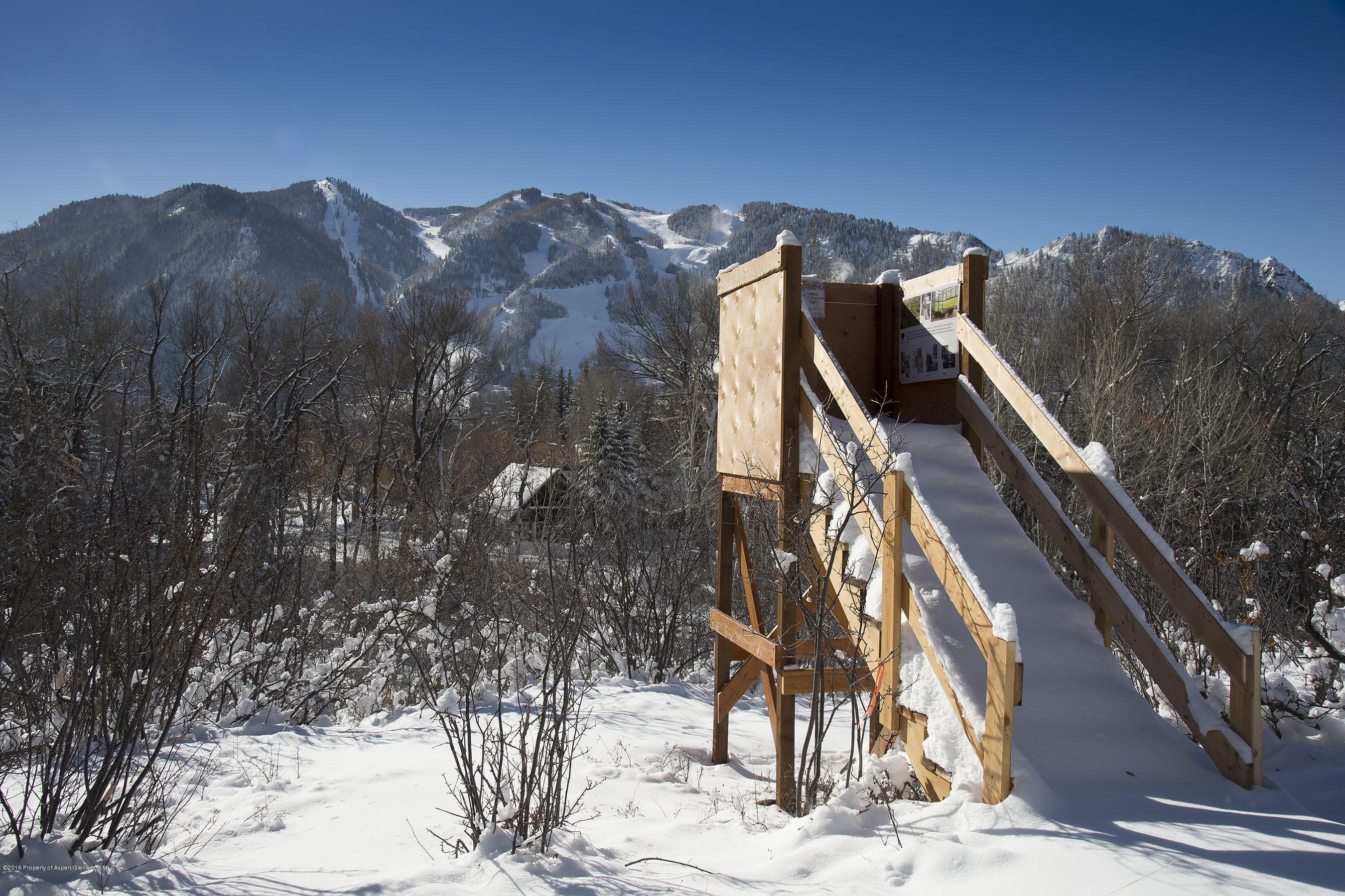 300 Red Mountain Road, Aspen, CO 81611 - Photo 8