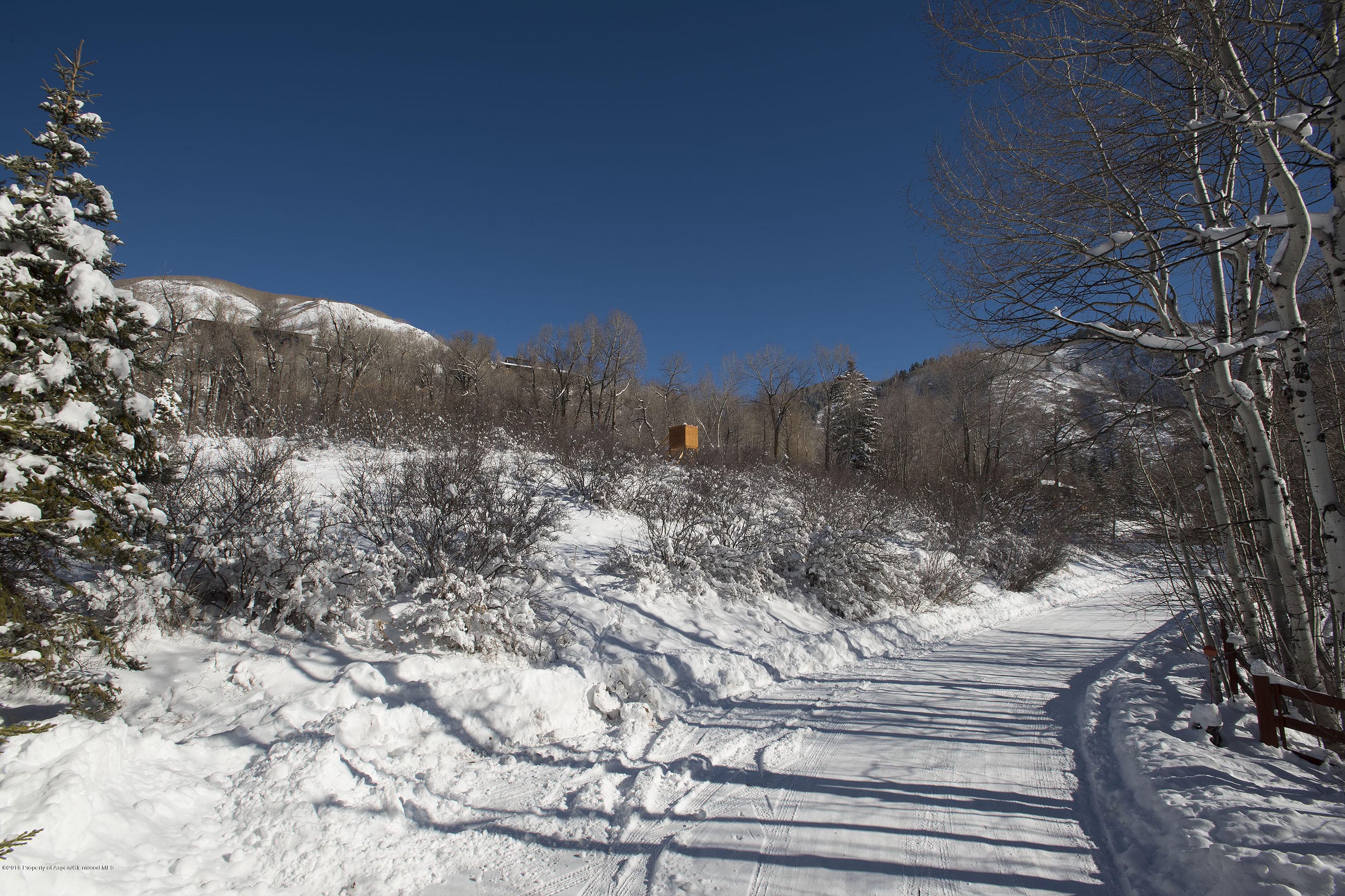 300 Red Mountain Road, Aspen, CO 81611 - Photo 11