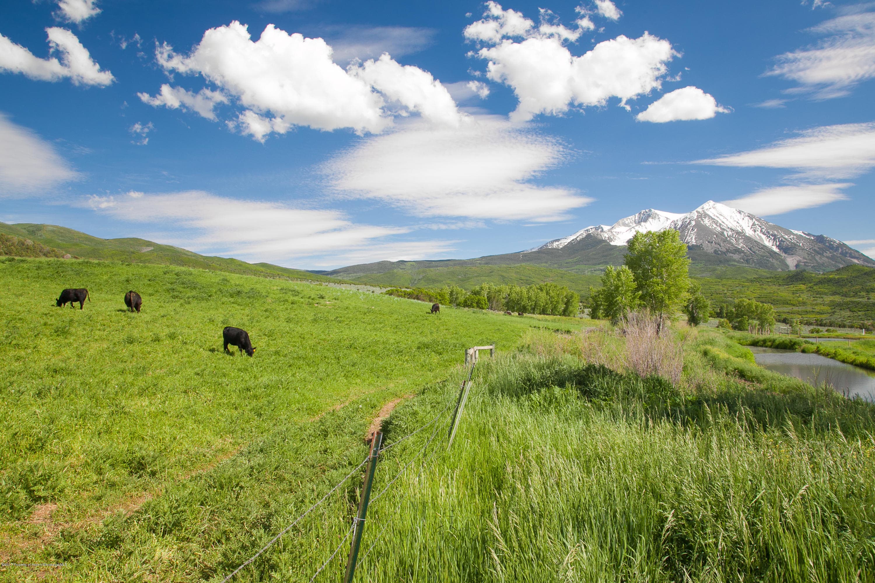 TBD Prince Creek Road, Carbondale, CO 81623 - Photo 2