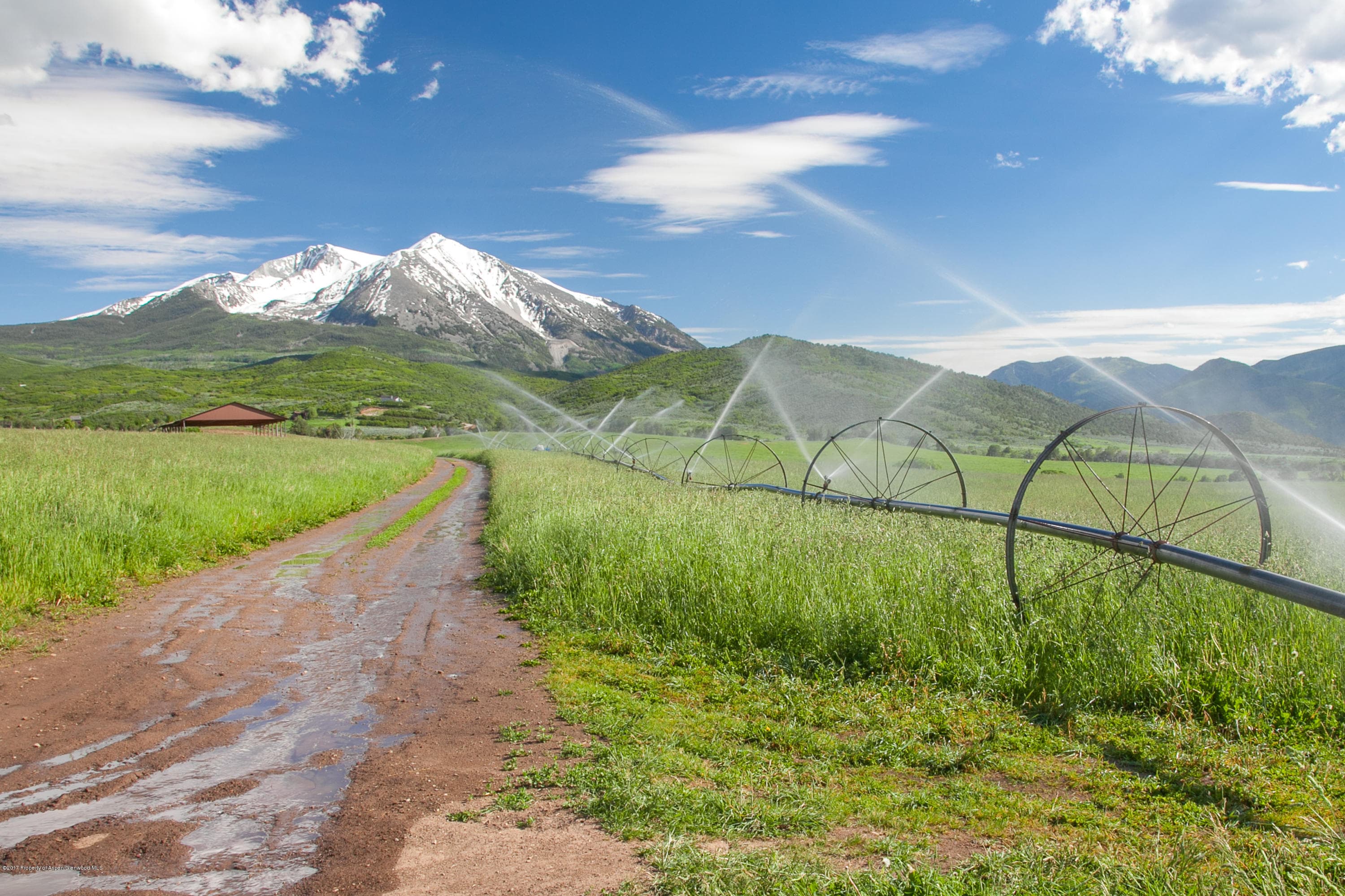 TBD Prince Creek Road, Carbondale, CO 81623 - Photo 4