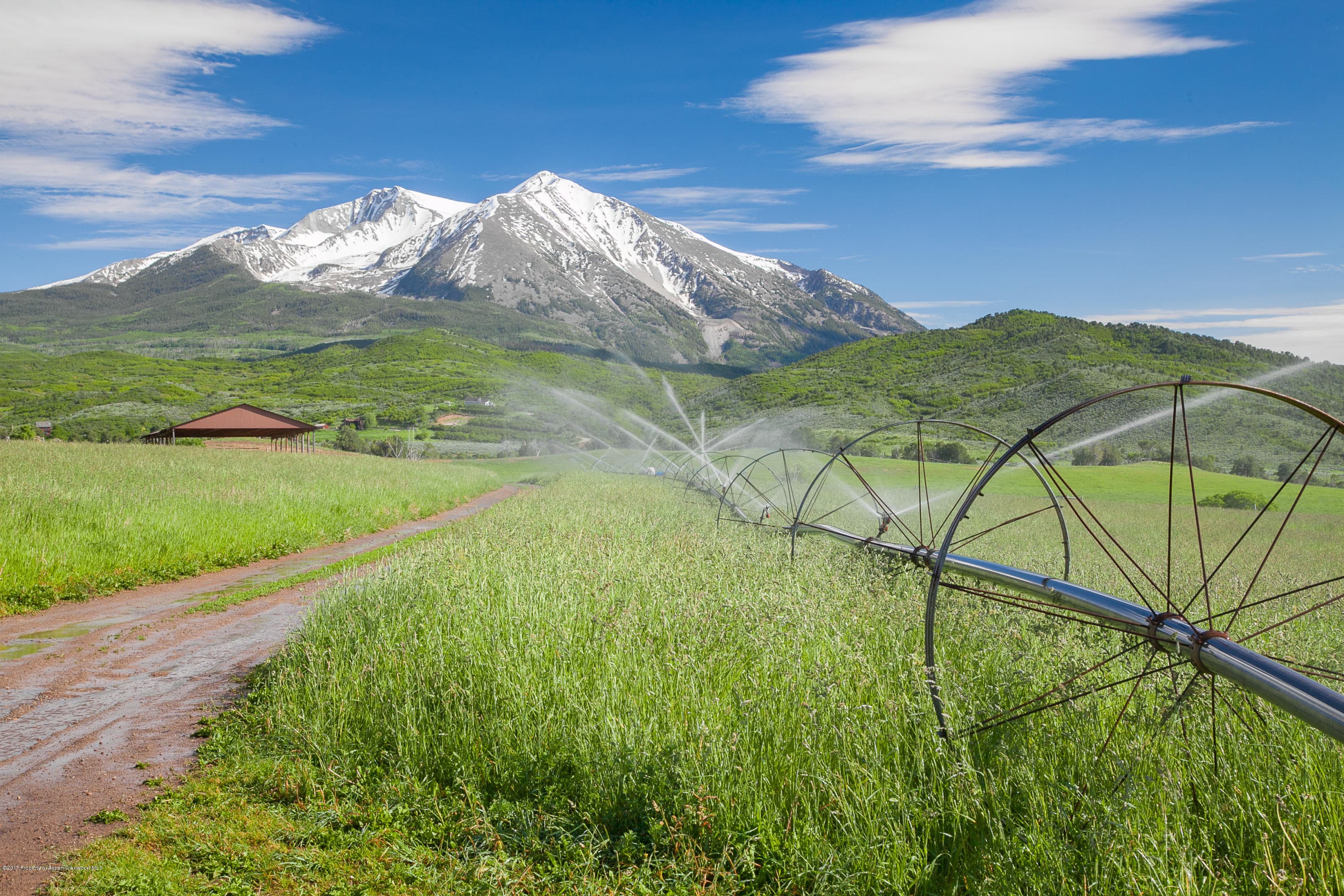 TBD Prince Creek Road, Carbondale, CO 81623 - Photo 5