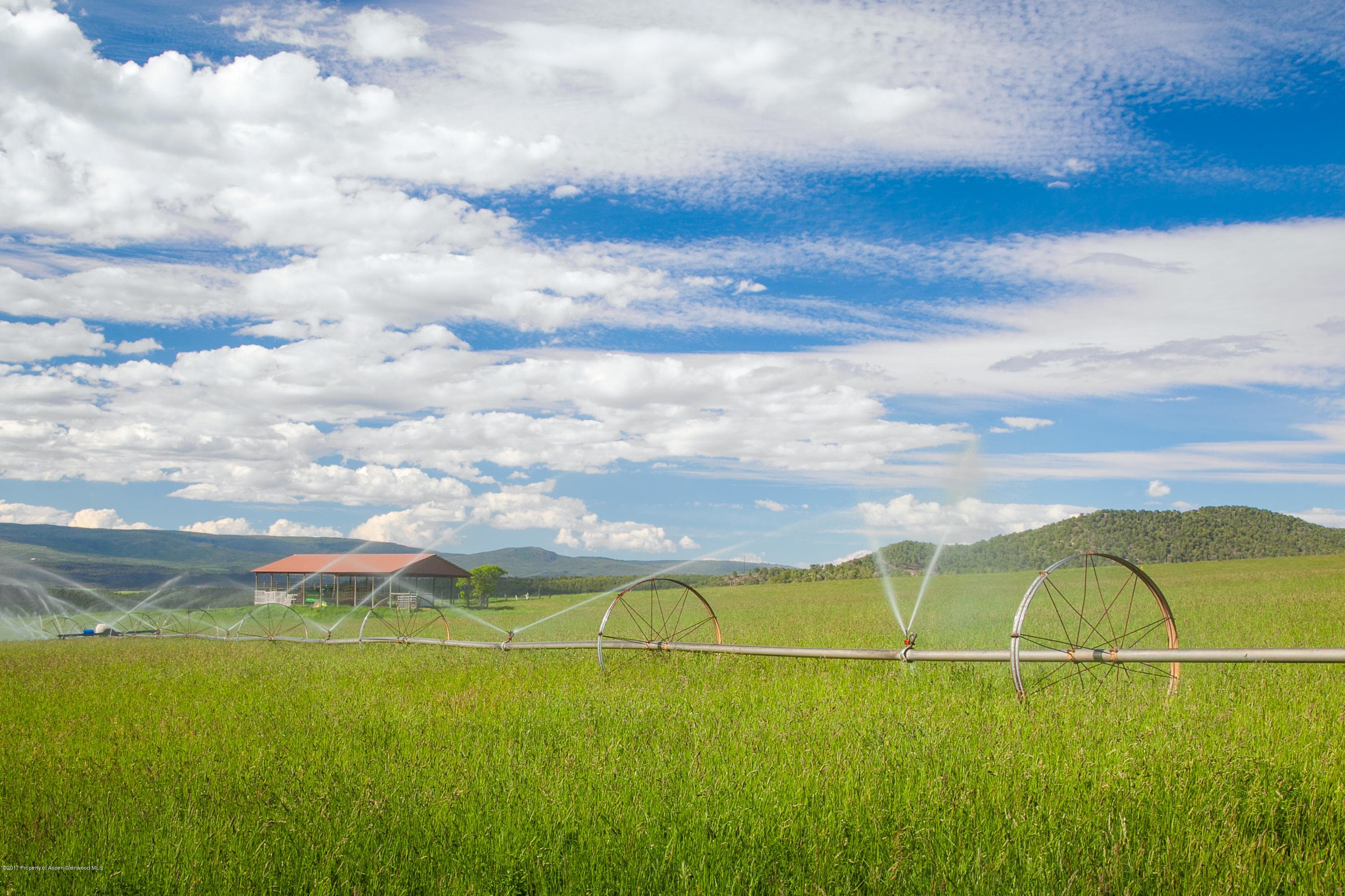 TBD Prince Creek Road, Carbondale, CO 81623 - Photo 6