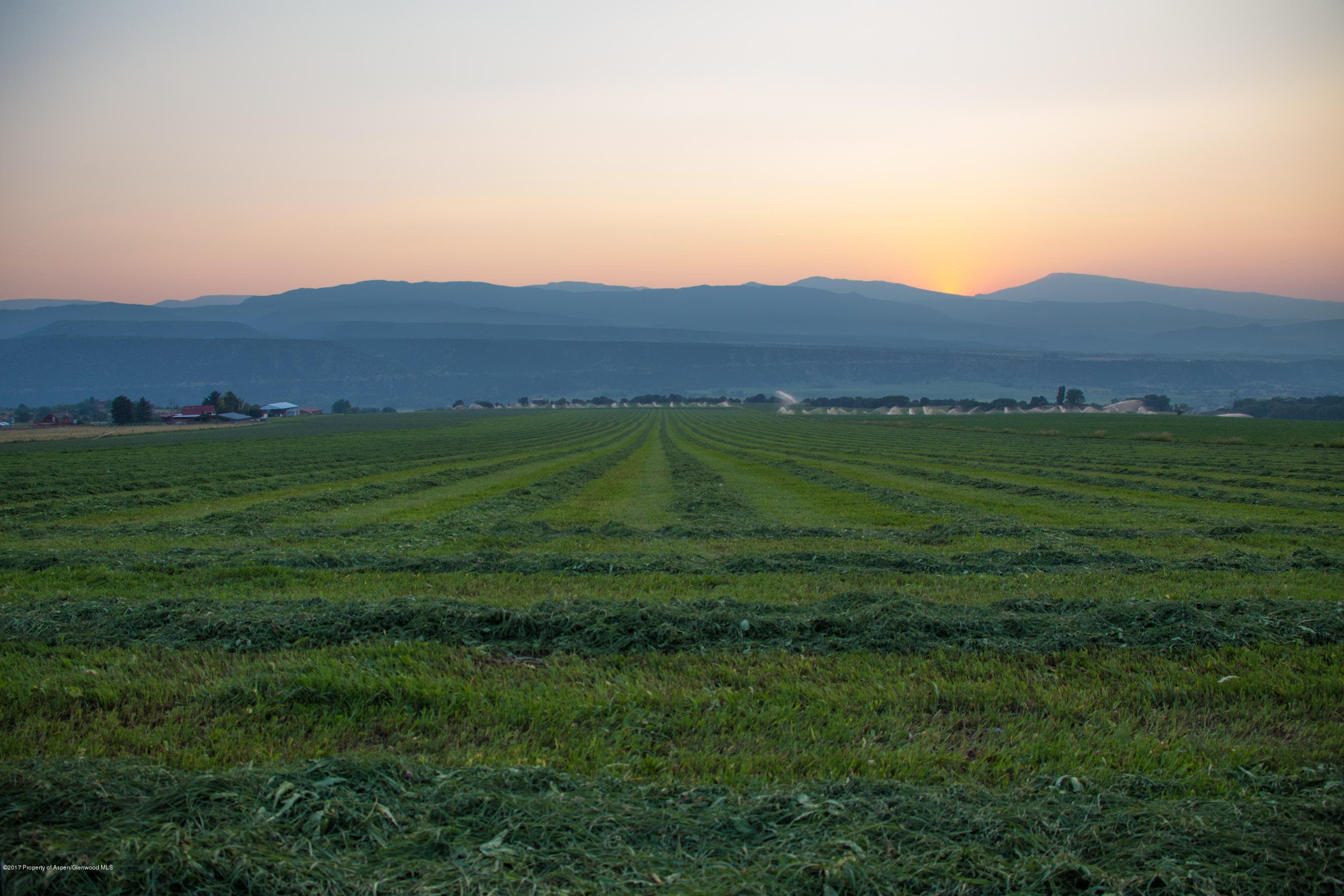 TBD Prince Creek Road, Carbondale, CO 81623 - Photo 16
