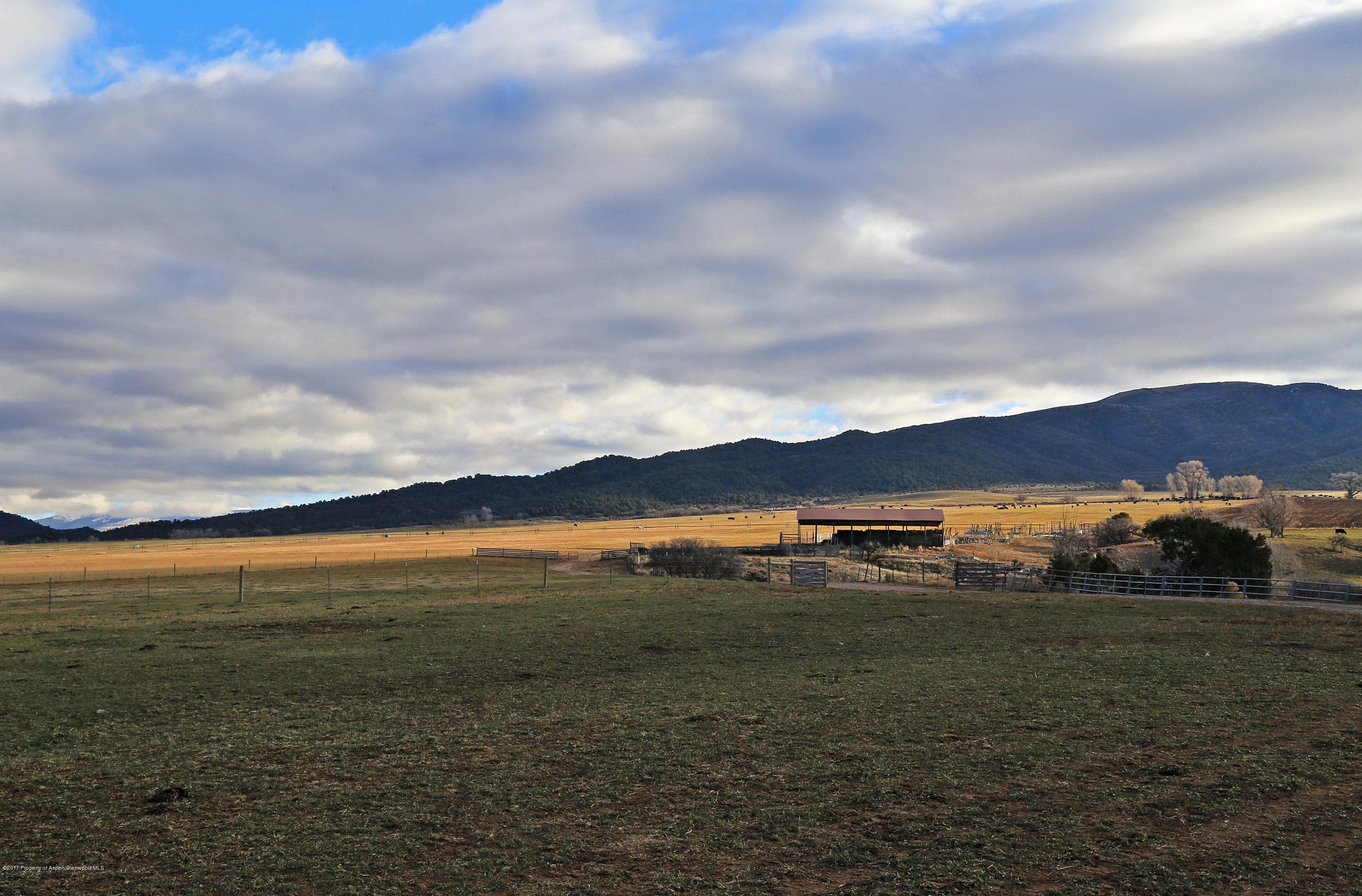 TBD Prince Creek Road, Carbondale, CO 81623 - Photo 21