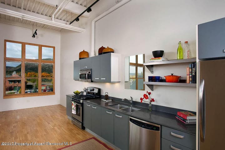 231 Robinson Street #R-318, Basalt, CO 81621 - Photo 2