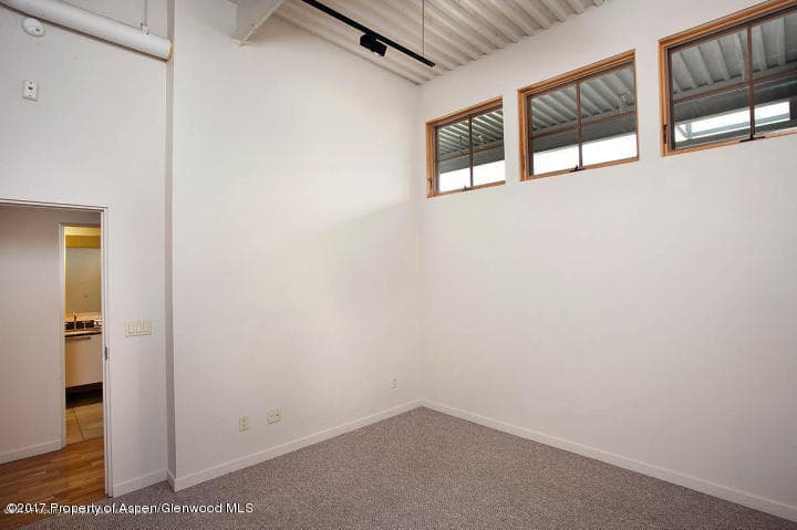 231 Robinson Street #R-318, Basalt, CO 81621 - Photo 4