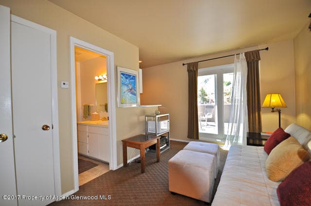 117 N MONARCH Unit 2, Aspen, CO 81611 - Photo 14