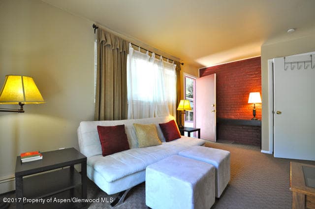 117 N MONARCH Unit 2, Aspen, CO 81611 - Photo 15