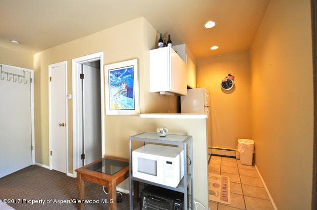 117 N MONARCH Unit 2, Aspen, CO 81611 - Photo 16