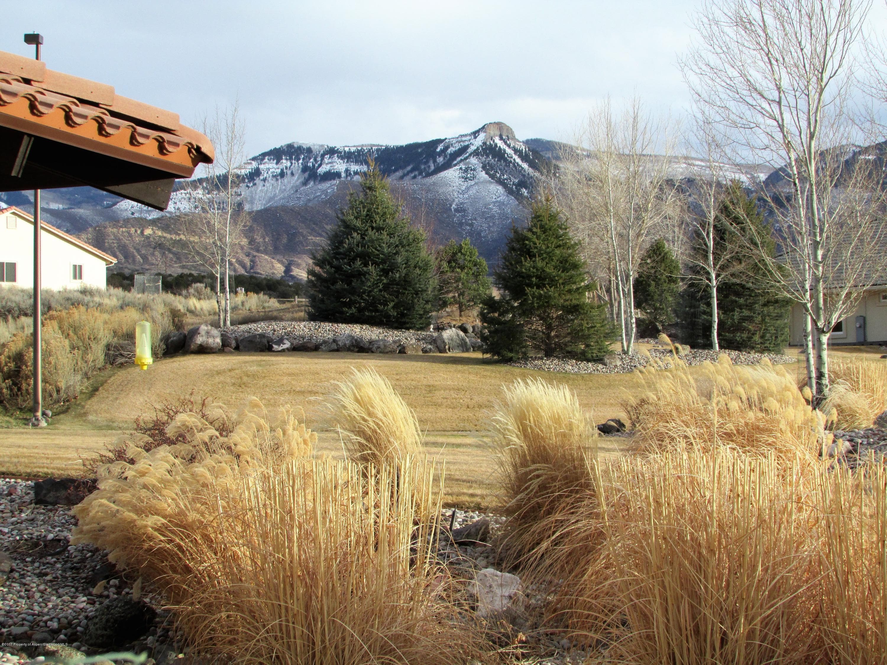 101 BATTLEMENT CREEK Trail, Battlement Mesa, CO 81635 - Photo 41