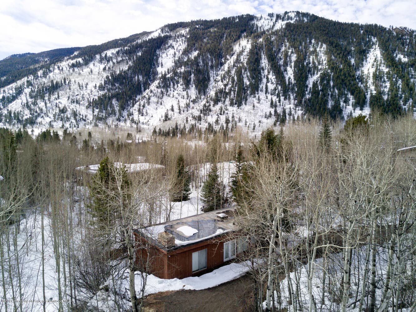 34 WESTVIEW Drive, Aspen, CO 81611 - Photo 3