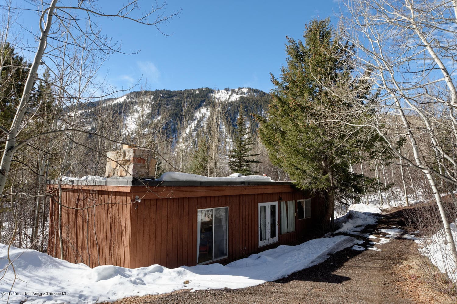 34 WESTVIEW Drive, Aspen, CO 81611 - Photo 6