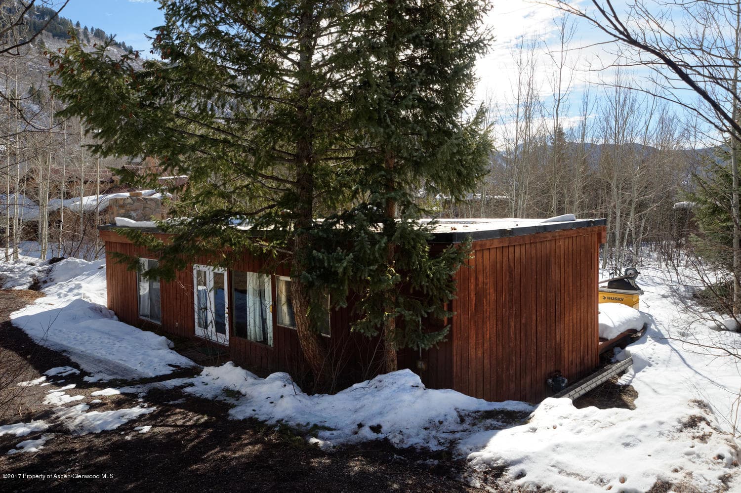 34 WESTVIEW Drive, Aspen, CO 81611 - Photo 8