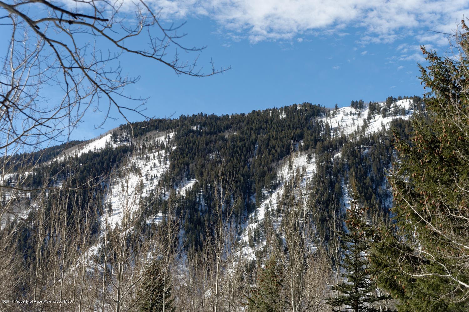 34 WESTVIEW Drive, Aspen, CO 81611 - Photo 15