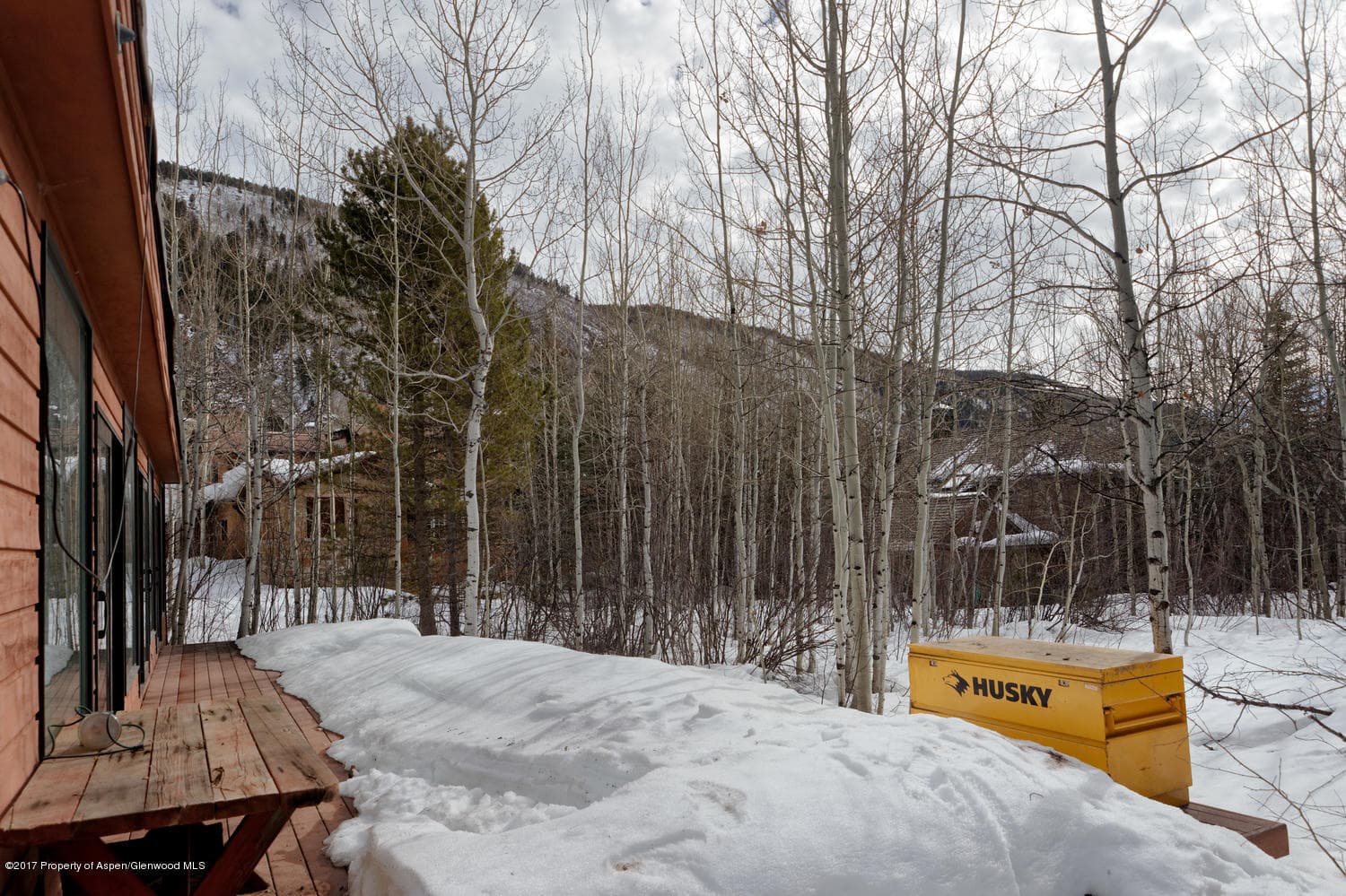 34 WESTVIEW Drive, Aspen, CO 81611 - Photo 16