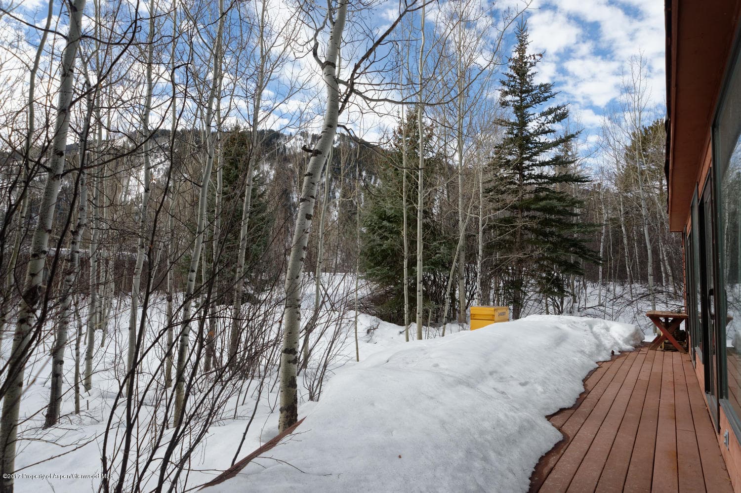 34 WESTVIEW Drive, Aspen, CO 81611 - Photo 17