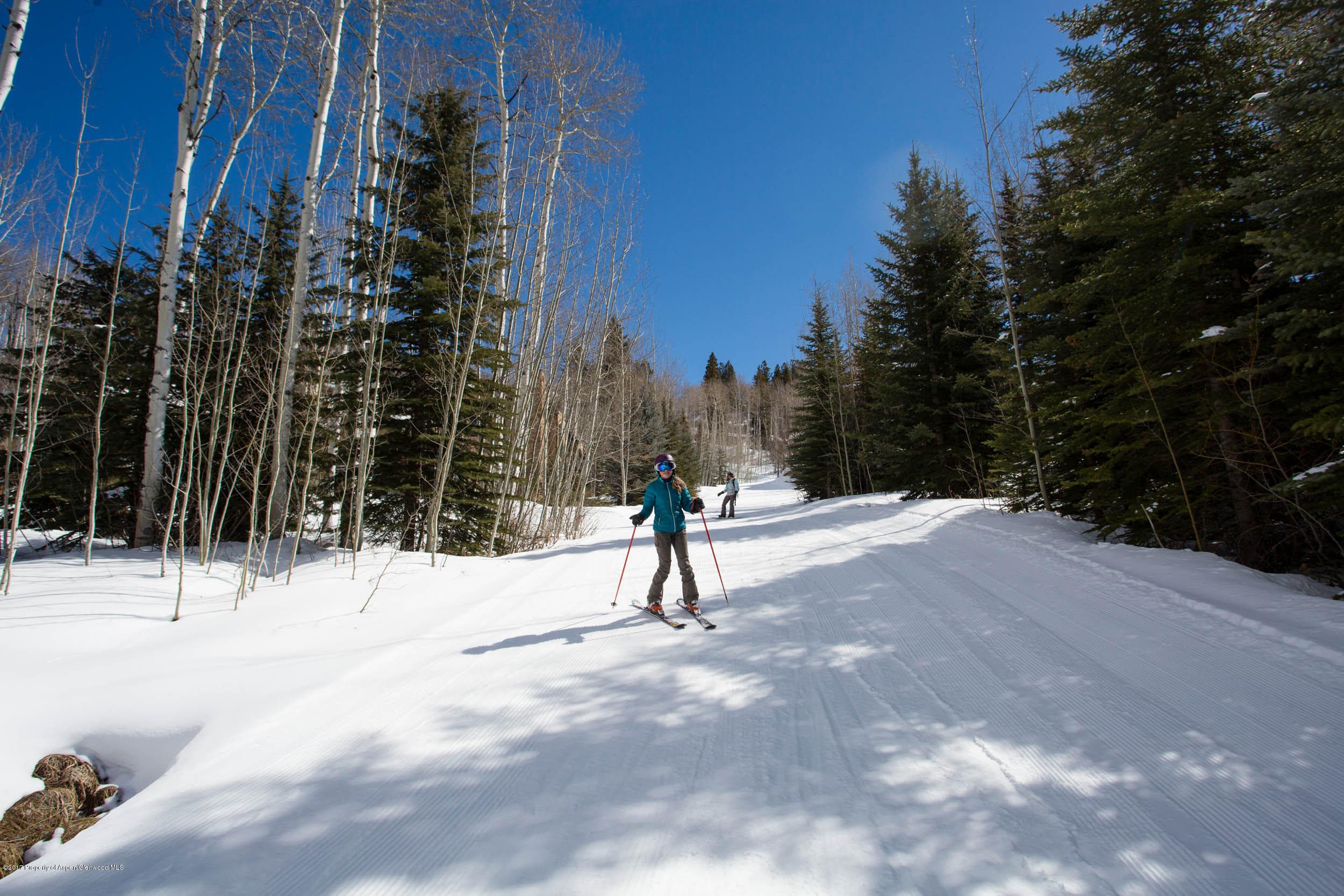 0381 Pine Crest Drive Pines Lot #47, Snowmass Village, CO 81615 - Photo 12