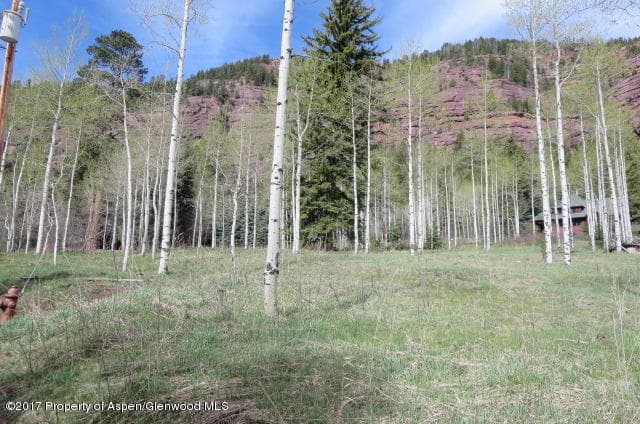 95 Chair Mountain Drive, Redstone, CO 81623 - Photo 8