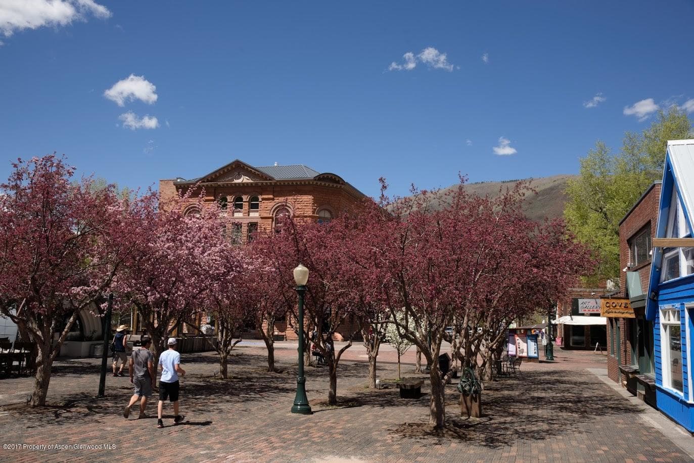 401 E Hyman Avenue, Aspen, CO 81611 - Photo 11