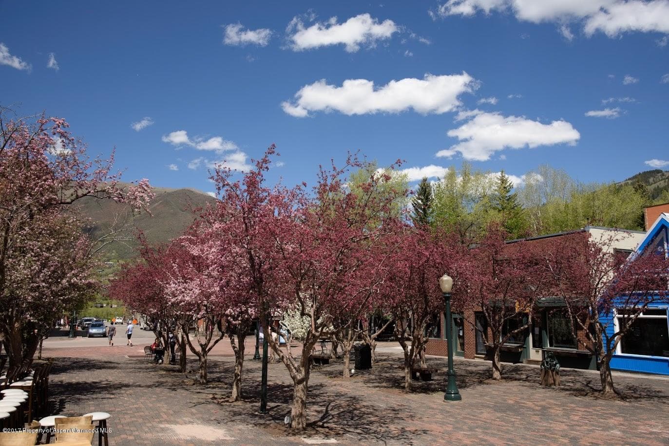 401 E Hyman Avenue, Aspen, CO 81611 - Photo 12