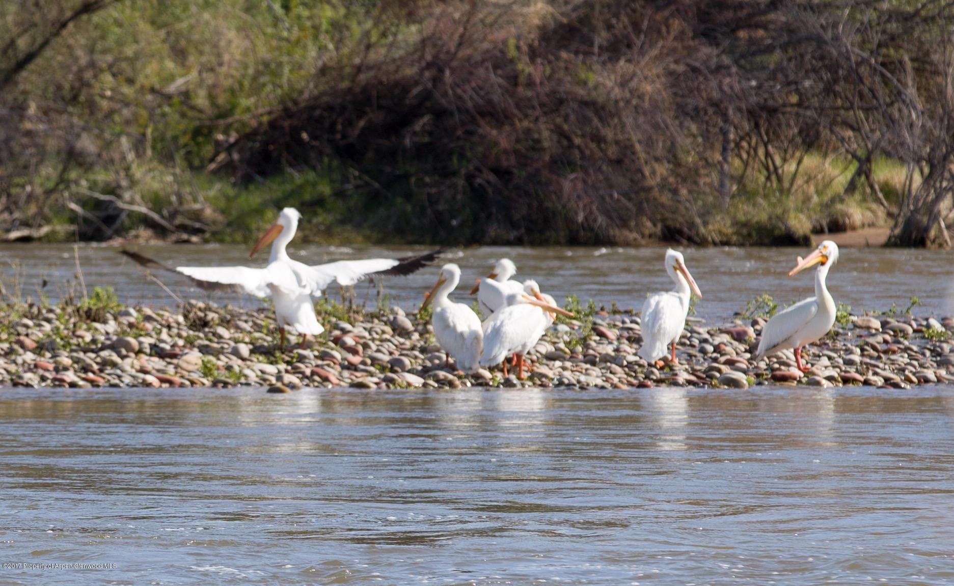 TBD County Road 346, Silt, CO 81652 - Photo 5