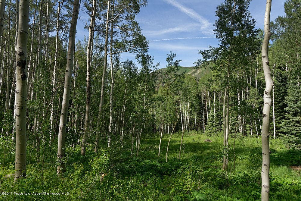 828 Conundrum Creek Road, Aspen, CO 81611 - Photo 10