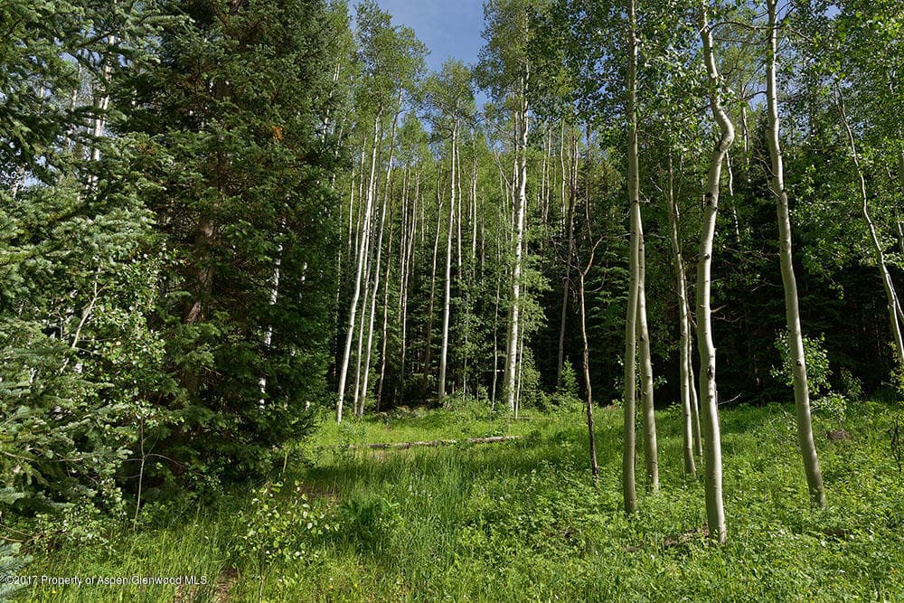 828 Conundrum Creek Road, Aspen, CO 81611 - Photo 11