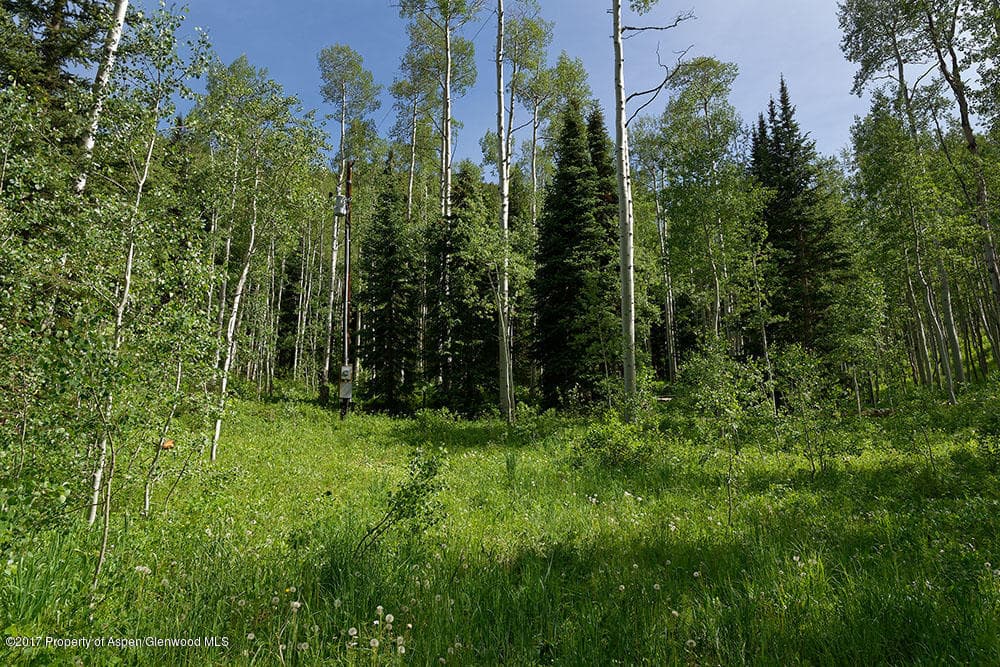 828 Conundrum Creek Road, Aspen, CO 81611 - Photo 4