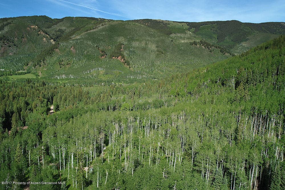 828 Conundrum Creek Road, Aspen, CO 81611 - Photo 14
