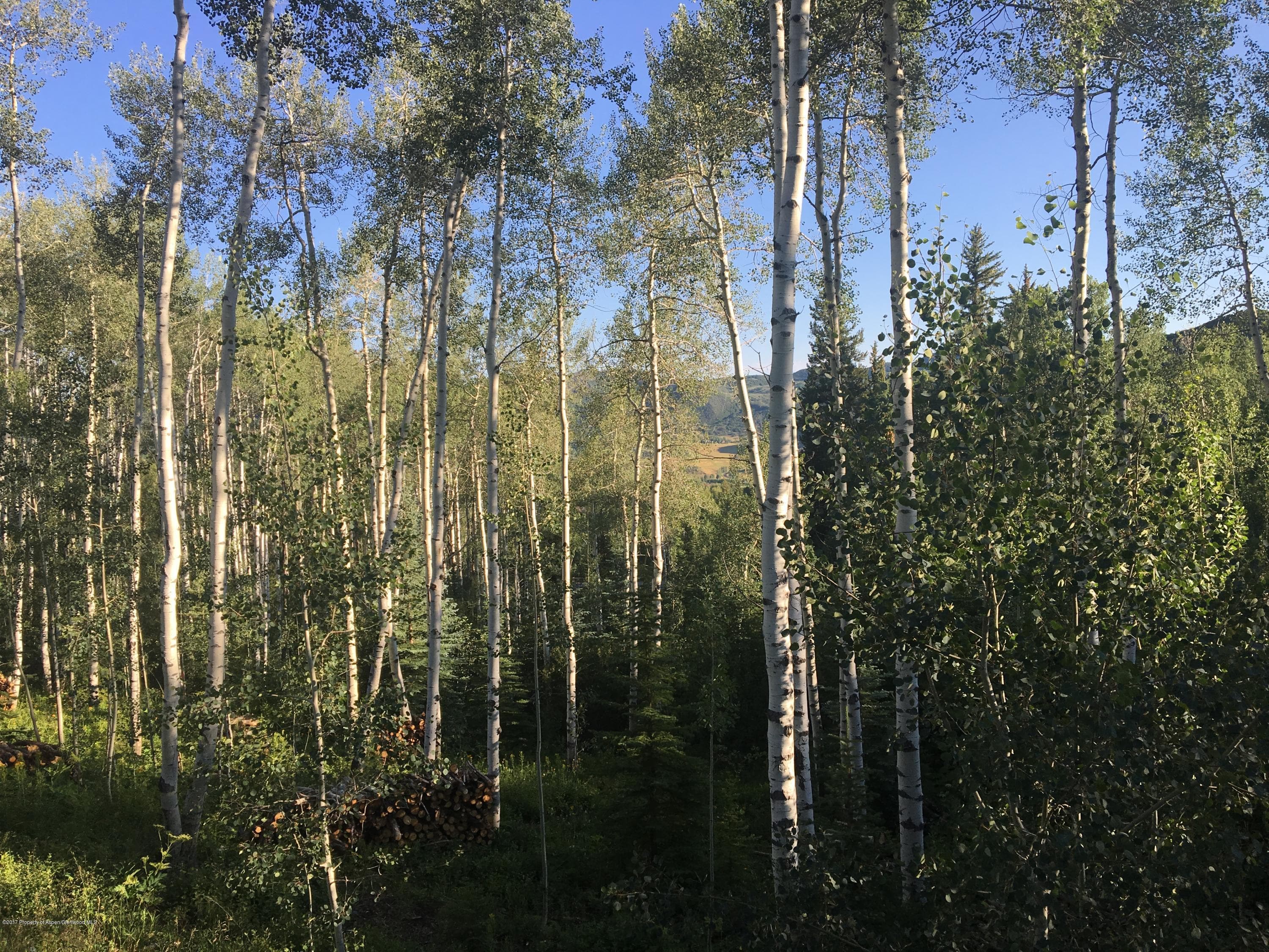 0460 Pine Crest Drive, Snowmass Village, CO 81615 - Photo 6