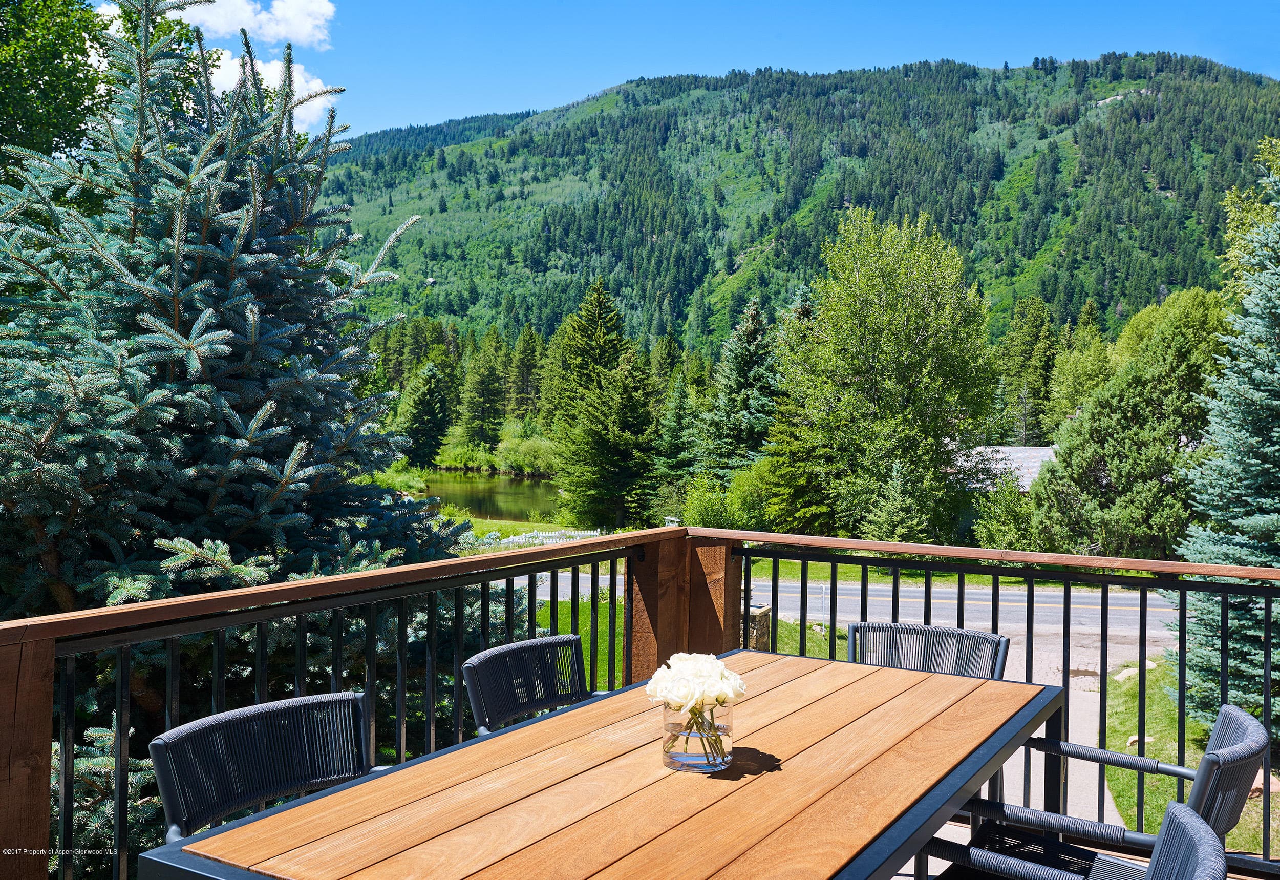 42553 E Highway 82, Aspen, CO 81611 - Photo 11