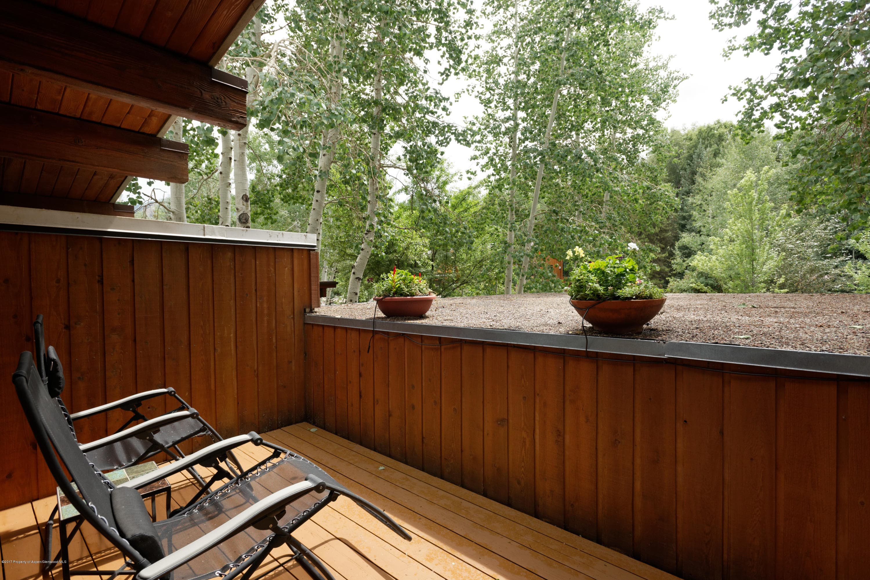 950 Cemetery Lane 1, Aspen, CO 81611 - Photo 15