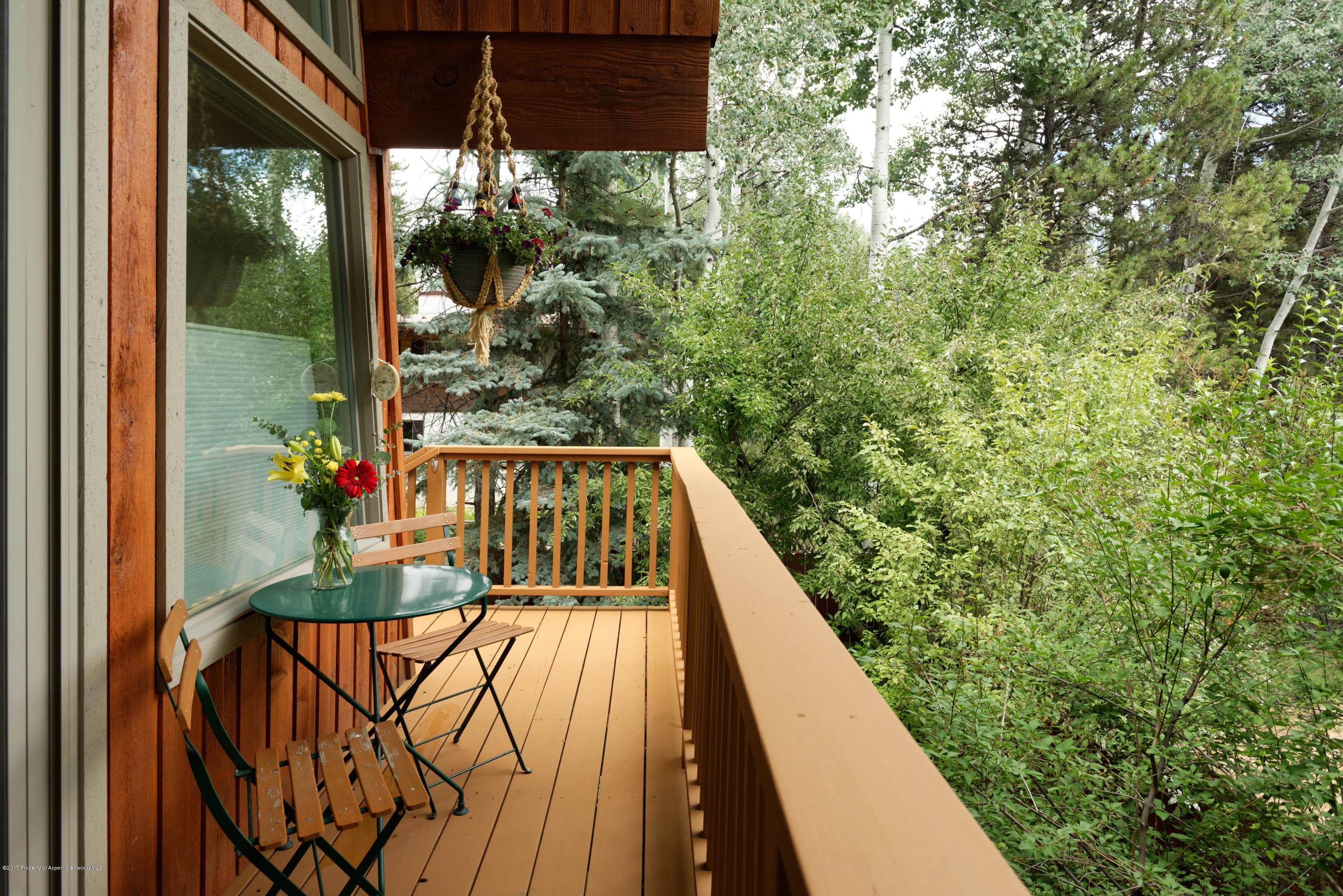 950 Cemetery Lane 1, Aspen, CO 81611 - Photo 16