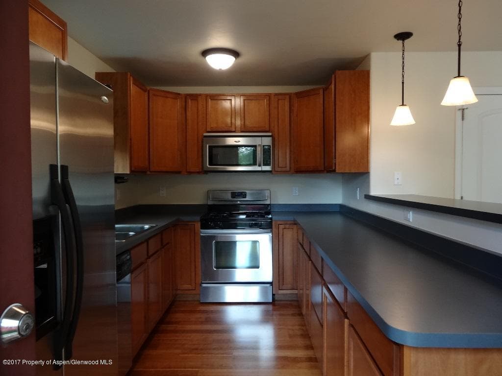 301 W 8th Court, Carbondale, CO 81623 - Photo 2