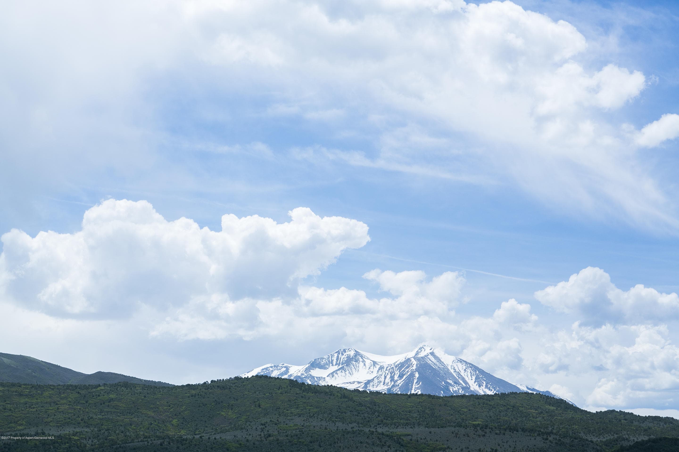 453 Lions Ridge Road, Carbondale, CO 81623 - Photo 8